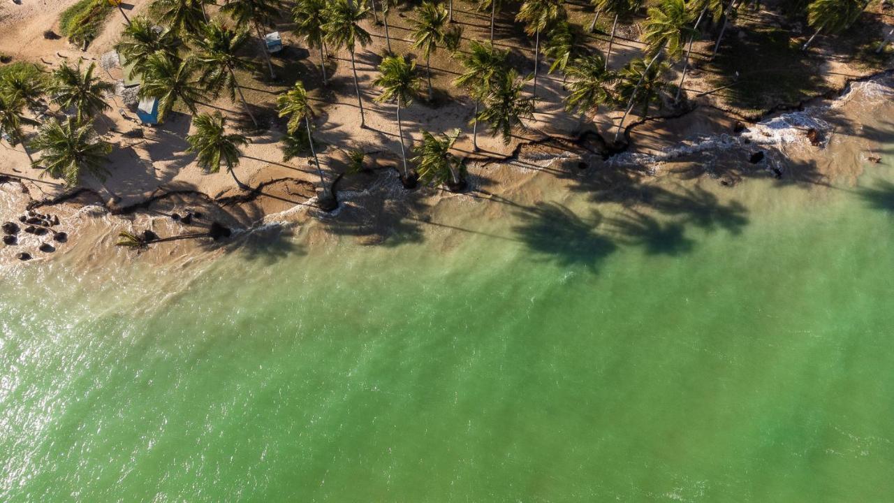Eco Loft Maymuna: Seu Loft Ecologico Pertinho Da Praia Villa Pôrto de Pedras Buitenkant foto